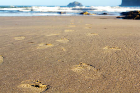 Footprints in the sand on Polzeath beach, Cornwallの写真素材