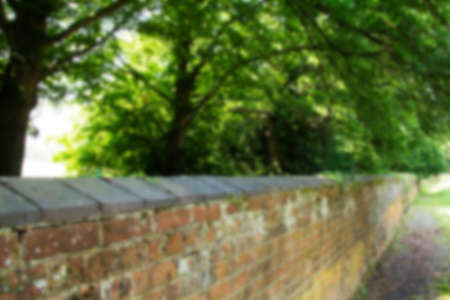 Old brick wall with moss and ivy growing on it Out of focus.の写真素材