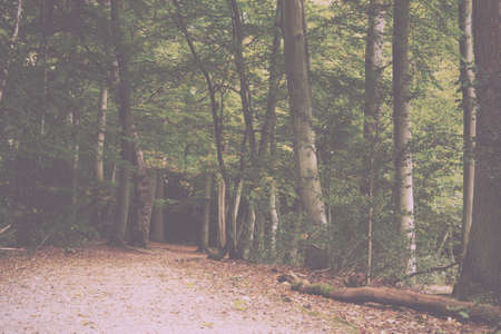 English woodland scene at the start of autumn Vintage Retro Filter.の写真素材