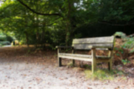 English woodland scene at the start of autumn Out of focus.の写真素材