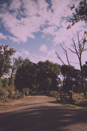 English woodland scene at the start of autumn Vintage Retro Filter.の写真素材