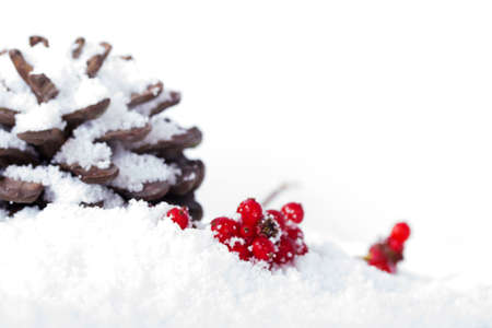 Pine cone and red berries covered in white snowの写真素材