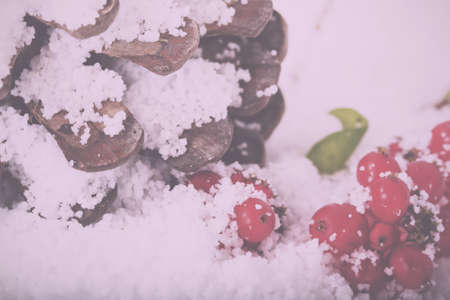 Pine cone and red berries covered in white snow Vintage Retro Filter.の写真素材