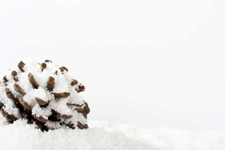 Pine cone covered in soft white fluffy snowの写真素材