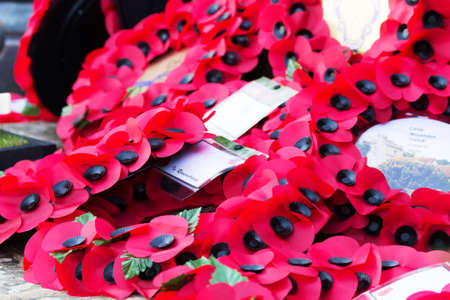 Poppies left at a memorial during a Rememberance Day Serviceの写真素材