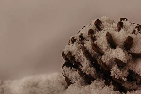 Pine cone covered in soft white fluffy snow HDR Filter.の写真素材