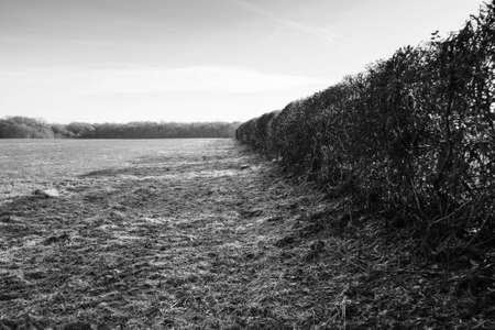 Empty british countryside on a cold winters afternoon