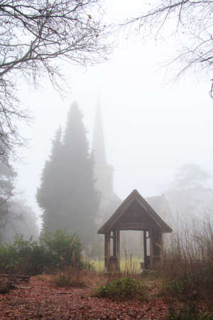 English woodland on a foggy misty January morningの写真素材