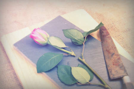 Single rose cut up on piece of slate