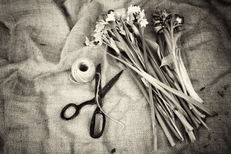 Spring cut flower arrangement against a rustic backgroundの写真素材