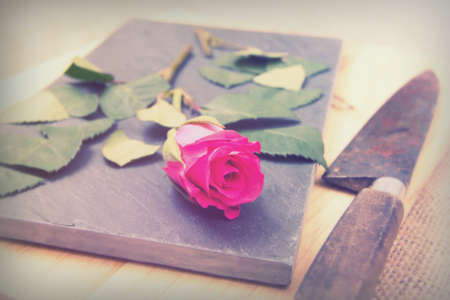 Single rose cut up on piece of slateの写真素材