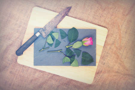 Single rose cut up on piece of slateの写真素材