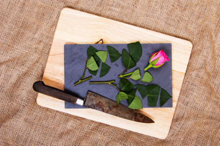 Single rose cut up on piece of slateの写真素材