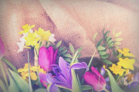 Spring cut flower arrangement against a rustic backgroundの写真素材