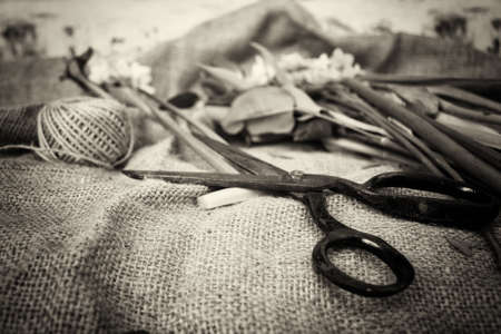 Spring cut flower arrangement against a rustic backgroundの写真素材