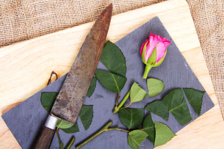 Single rose cut up on piece of slateの写真素材