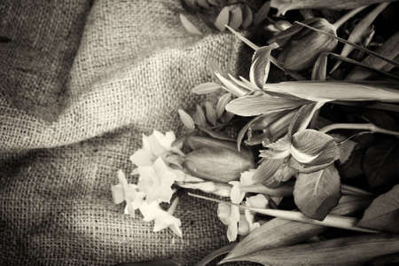 Spring cut flower arrangement against a rustic backgroundの写真素材