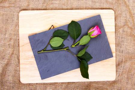 Single rose cut up on piece of slateの写真素材