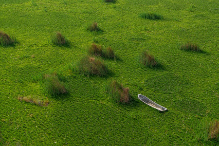 an abandoned boat on top of a beautiful natural spring green field, no people, eagle view