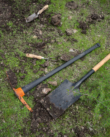 gardening tools in the soil of a garden, planting work, nature, shovel, no peopleの写真素材