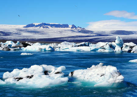 Joekulsalon lake in Iceland with 2 doves in the sky and 2 on a ice floe