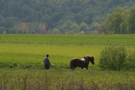 land workの写真素材