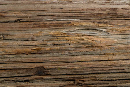 A wood log with grainの写真素材