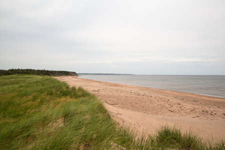 The beach at Robinsons Island on PEI Canadaの写真素材