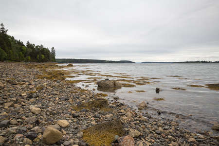 Pretty Marsh on Mount Desert in Maine USAの写真素材