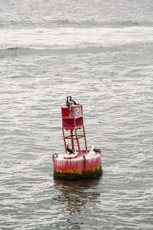 Spectacle Island bouy Boston Harbor Island in MAの写真素材