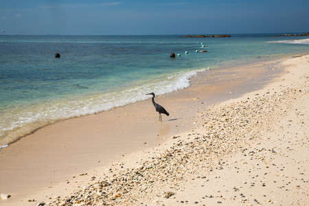 A beautiful beach in Kota Kinabalu in Malaysiaの写真素材