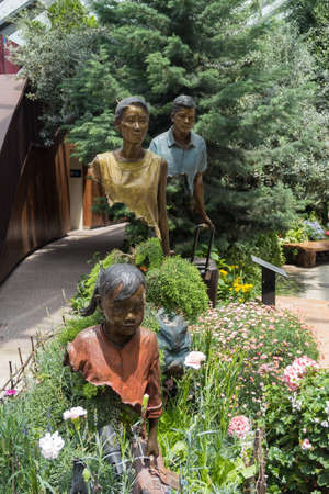 Inside a greenhouse at gardens by the bayのeditorial素材