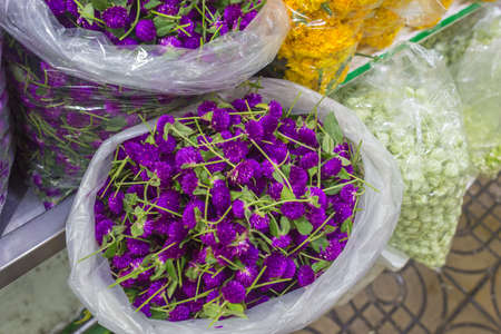 Pak Khlong Flower Market in Bangkok Thailandの写真素材