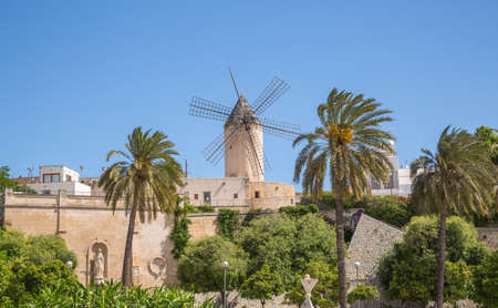 The Old Town Skyline in Palma Majorca Spain
