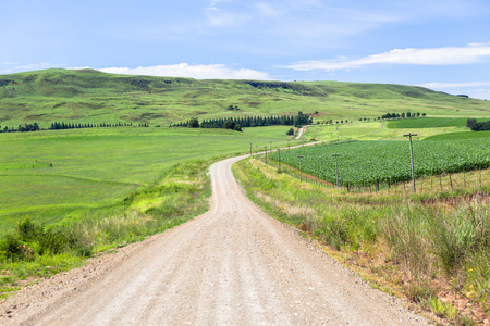Dirt road through mountain farmlands with maize food cropsの写真素材