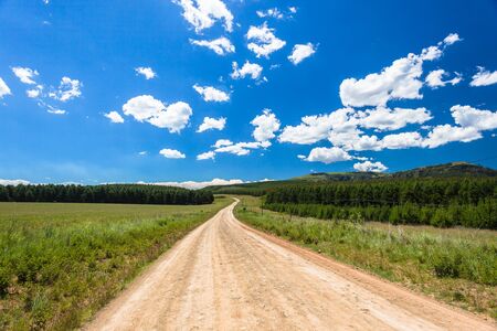Dirt road through mountains and forest trees plantations on a summers day