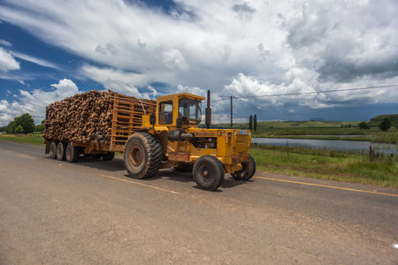 Yellow tractor carrying wooden poles driving down the countrysideのeditorial素材