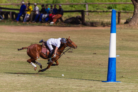 Equestrian Polo pony player plays hits ball at goals at speedのeditorial素材