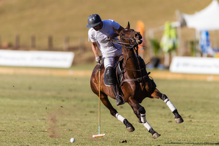 Equestrian Polo pony player stopping pony plays hits ball at speedのeditorial素材