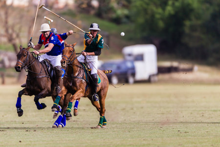 Equestrian Polo pony players play ball mid air at speedのeditorial素材