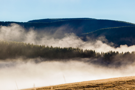 Mountains forests trees covered cloud mist rising as the sun warms up the valley の写真素材