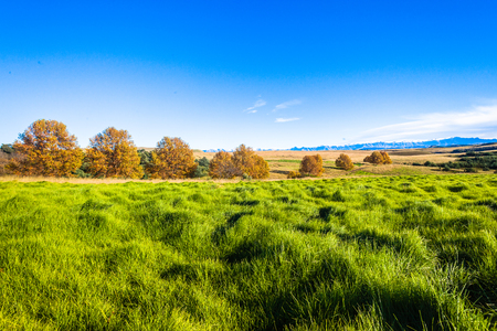 Winter on the high ground landscape in the grass green mountainの写真素材
