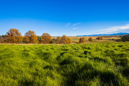 Rural countryside landscape beauty in the grass green mountain terrainの写真素材