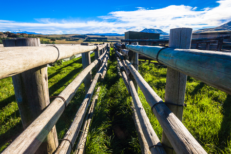 Inside Cattle herding corral pen fencing for animals inoculations or washing or transport countingの写真素材
