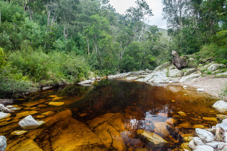 River pools colored from rain waters flushing through tree bush vegetation sap oils into rocky valley river bedの写真素材