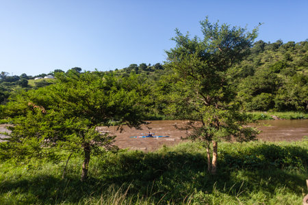 Canoe race marathon with athlete paddling on fast river rapid waters though rural thick vegetation landscapeのeditorial素材