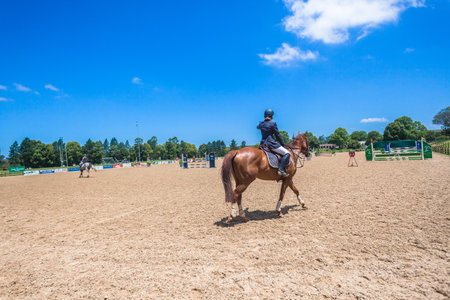 Horse girl rider enter jumping arena at regional state equestrian competitionのeditorial素材