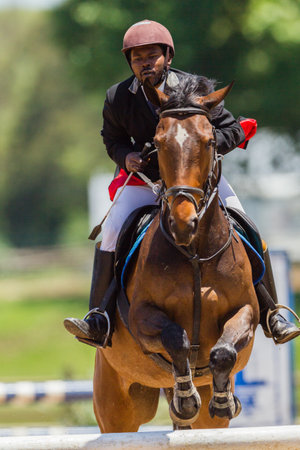 Horse woman rider jumping mid flight over gate at regional state equestrian competition 