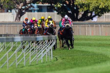 Horse racing jockeys in owner colors pacing pack on green grass track along the guard railのeditorial素材
