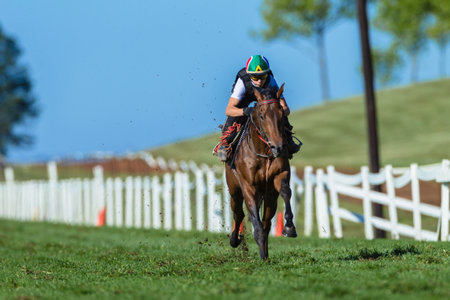 Race horse and jockey in morning gallop running fitness training on grass track in rural countrysideのeditorial素材